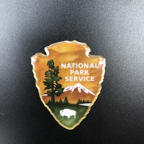 Photo dome pin